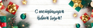 С Новым годом! С Новым годом!